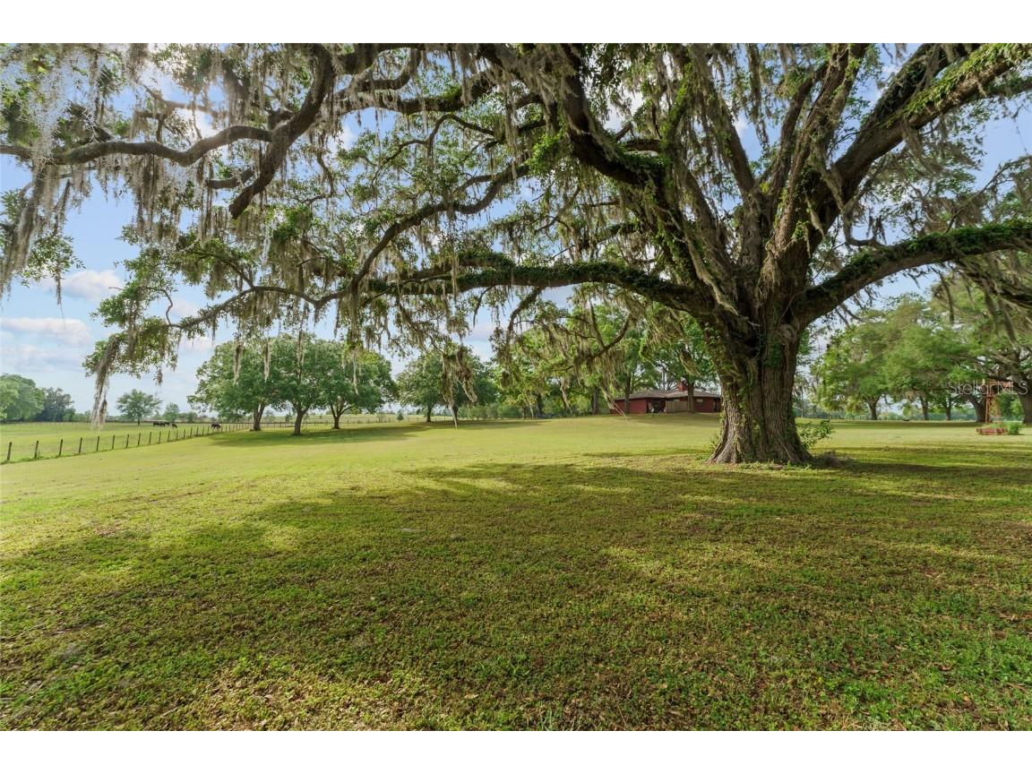 3149 SW 200th Avenue Dunnellon FL 34431 GC529825 image87