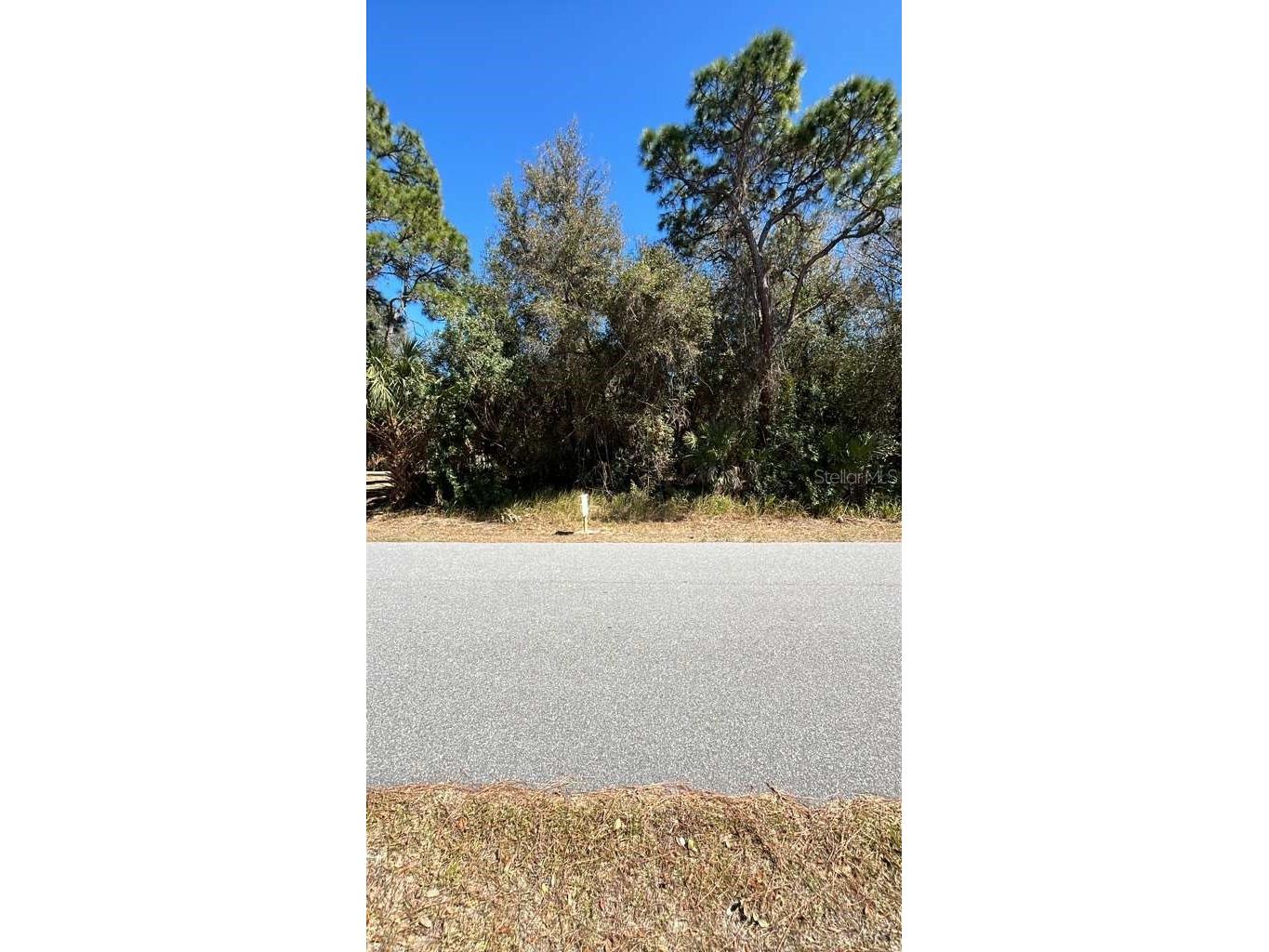 3149 Weyburn Avenue SE Palm Bay FL 32909 O6385759 image1