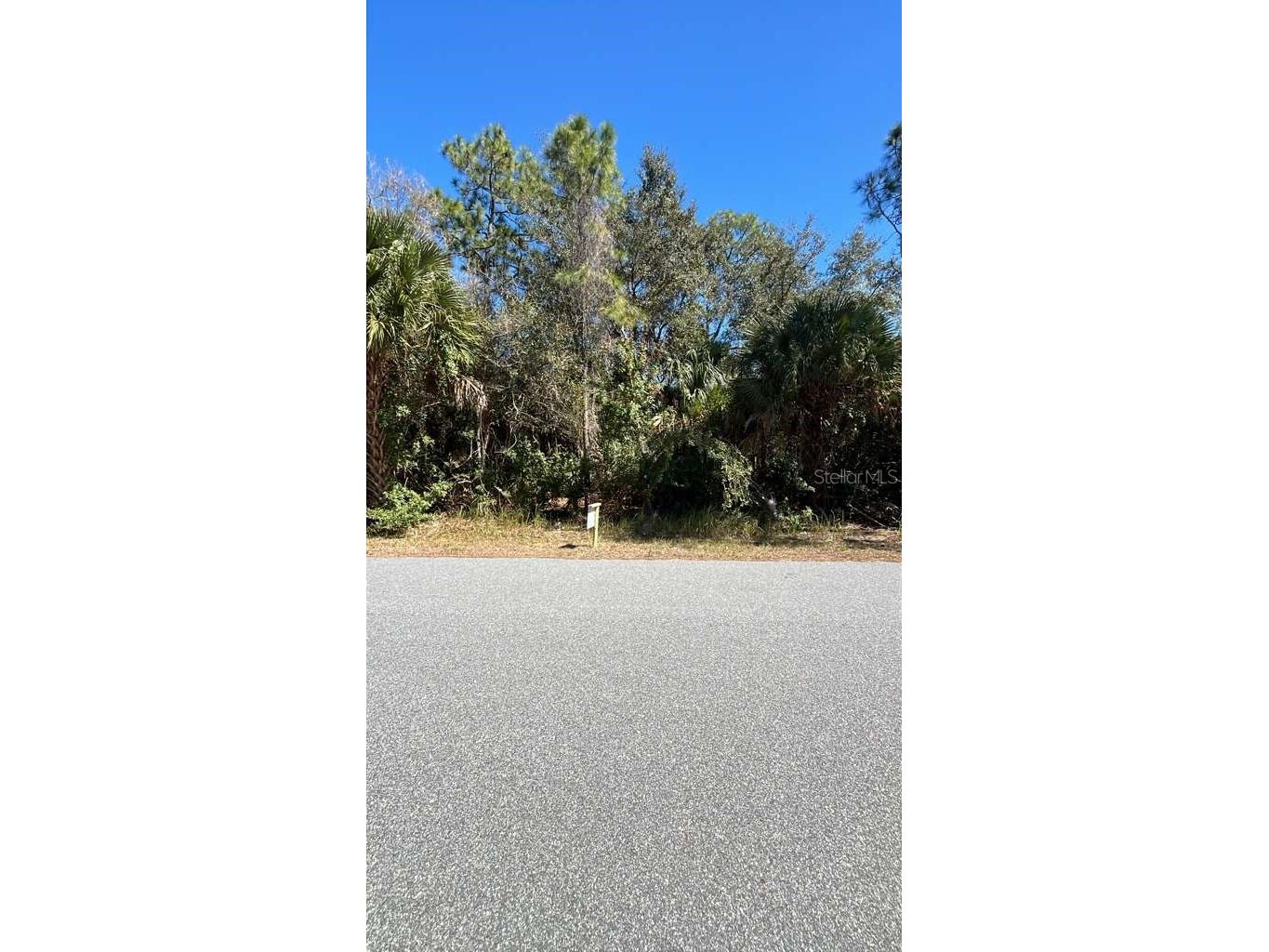 3157 Weyburn Avenue SE Palm Bay FL 32909 O6385887 image1