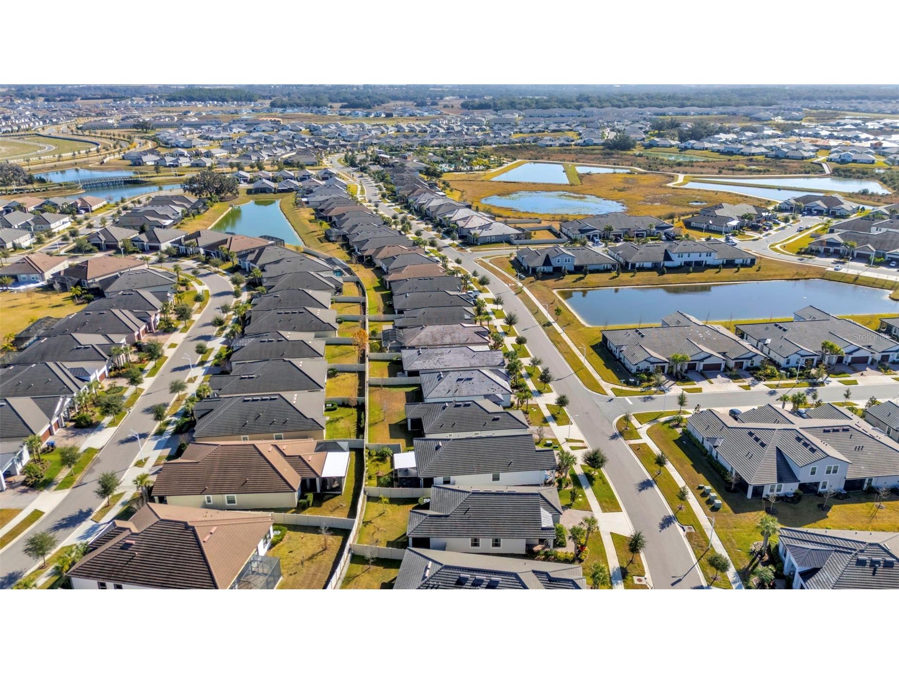 31493 Cannon Rush Drive San Antonio FL 33576 TB8468580 image57