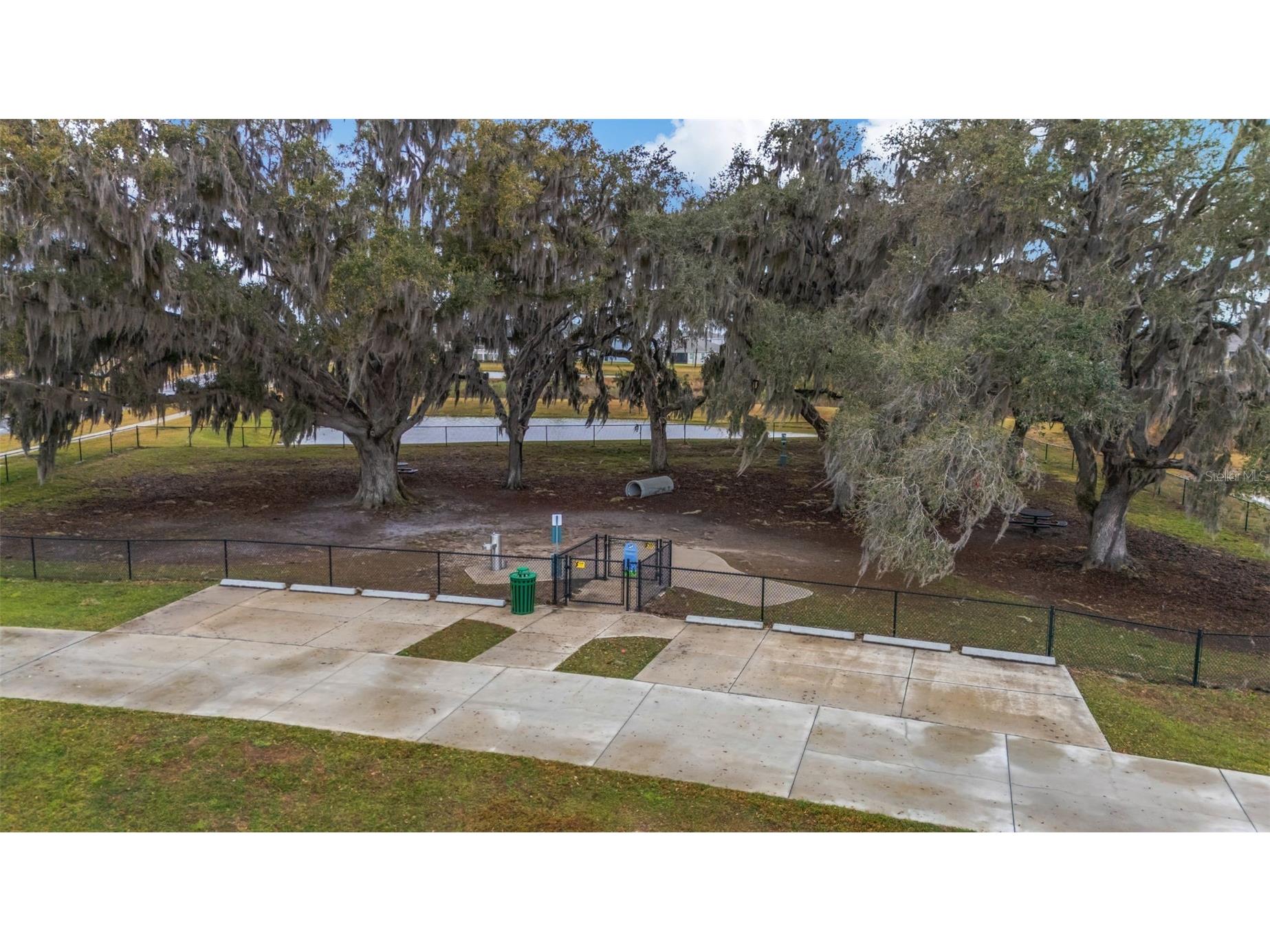 31493 Cannon Rush Drive San Antonio FL 33576 TB8468580 image74