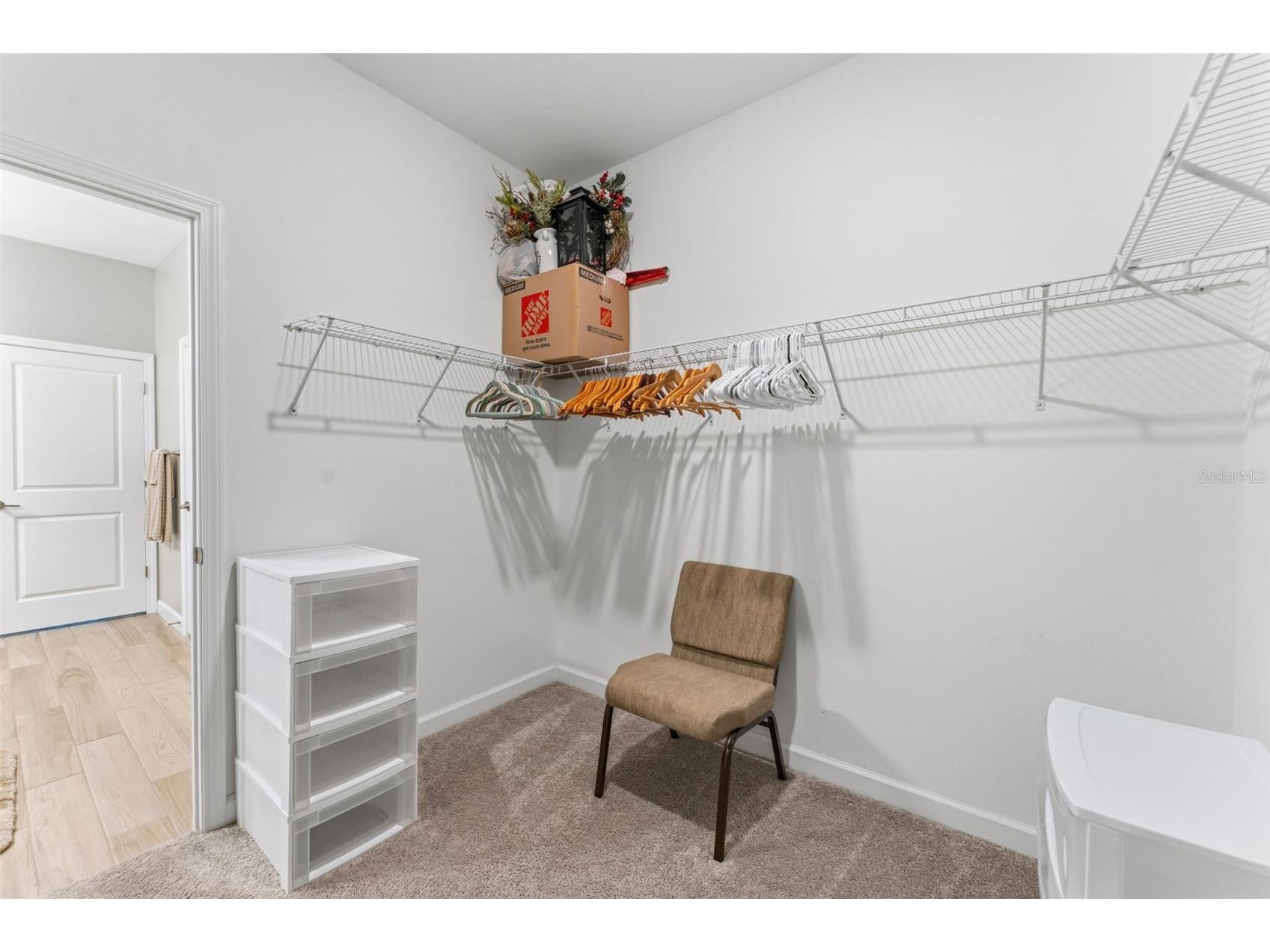 31493 Cannon Rush Drive San Antonio FL 33576 TB8494225 image20