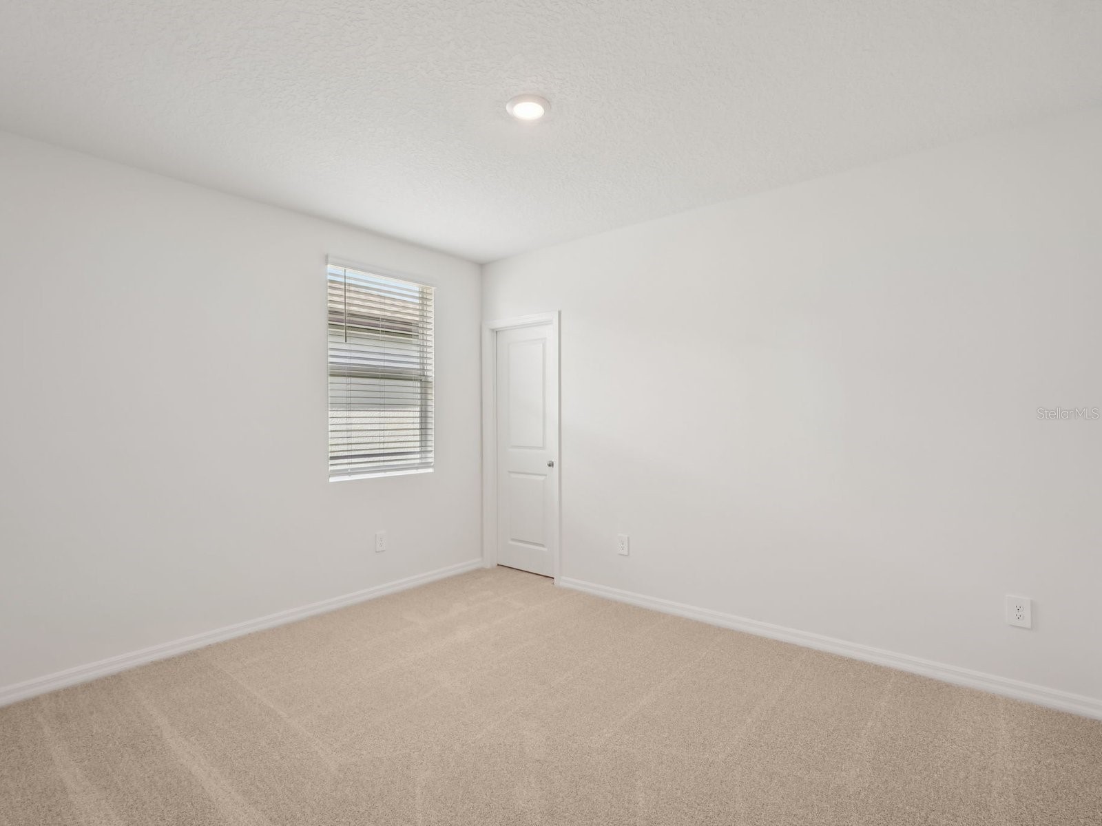 31498 Malbec Drive Brooksville FL 34602 TB8505186 image11