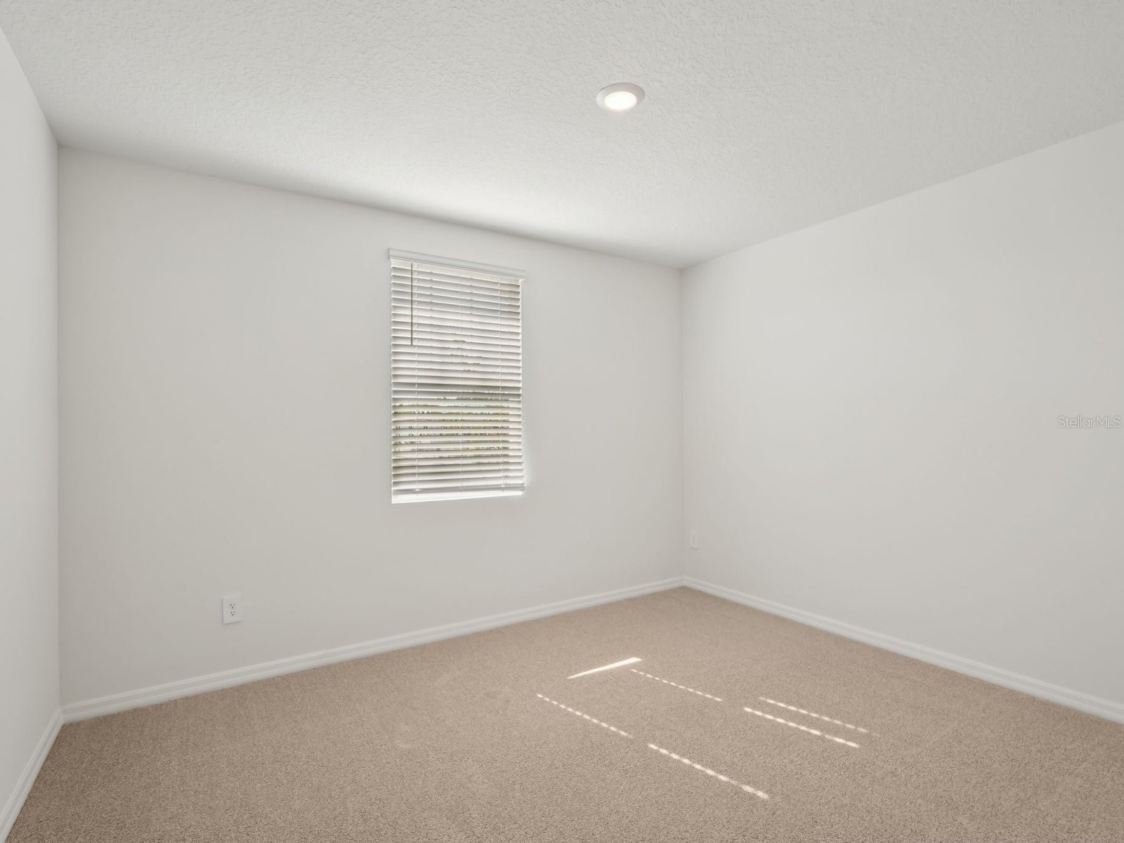 31498 Malbec Drive Brooksville FL 34602 TB8505186 image8