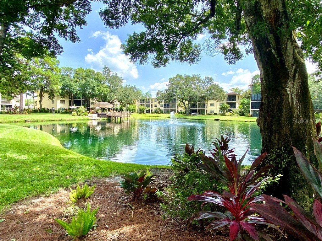 315 30th Avenue W #B212 Bradenton FL 34205 A4671611 image35