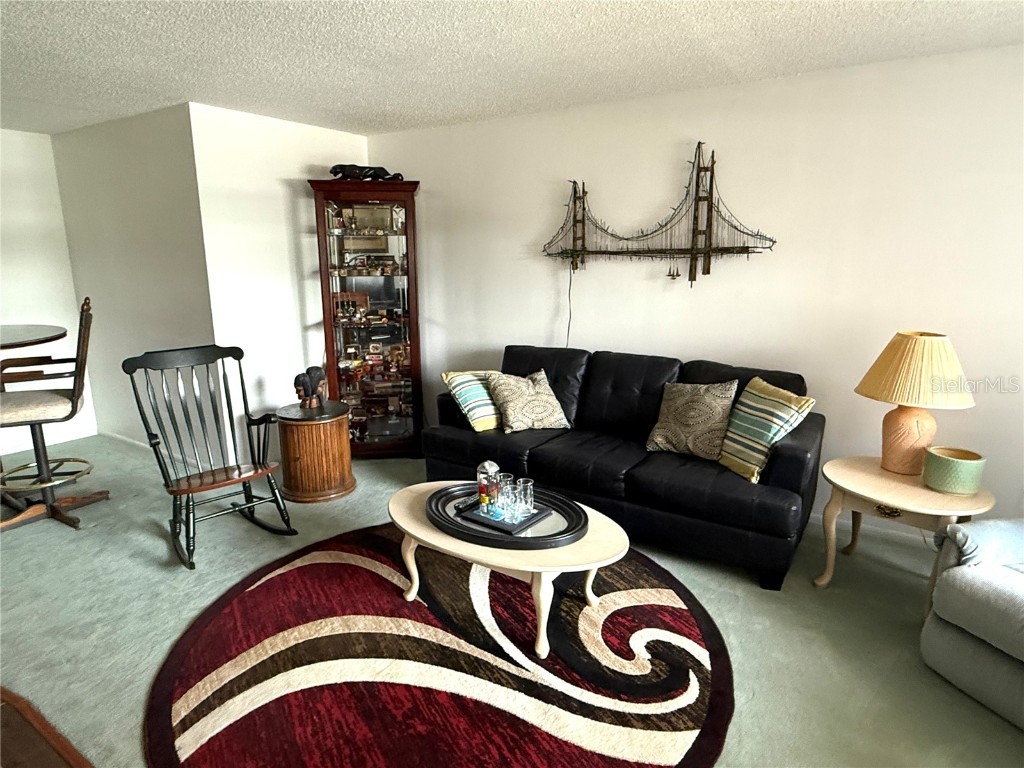 315 30th Avenue W #B212 Bradenton FL 34205 A4671611 image9