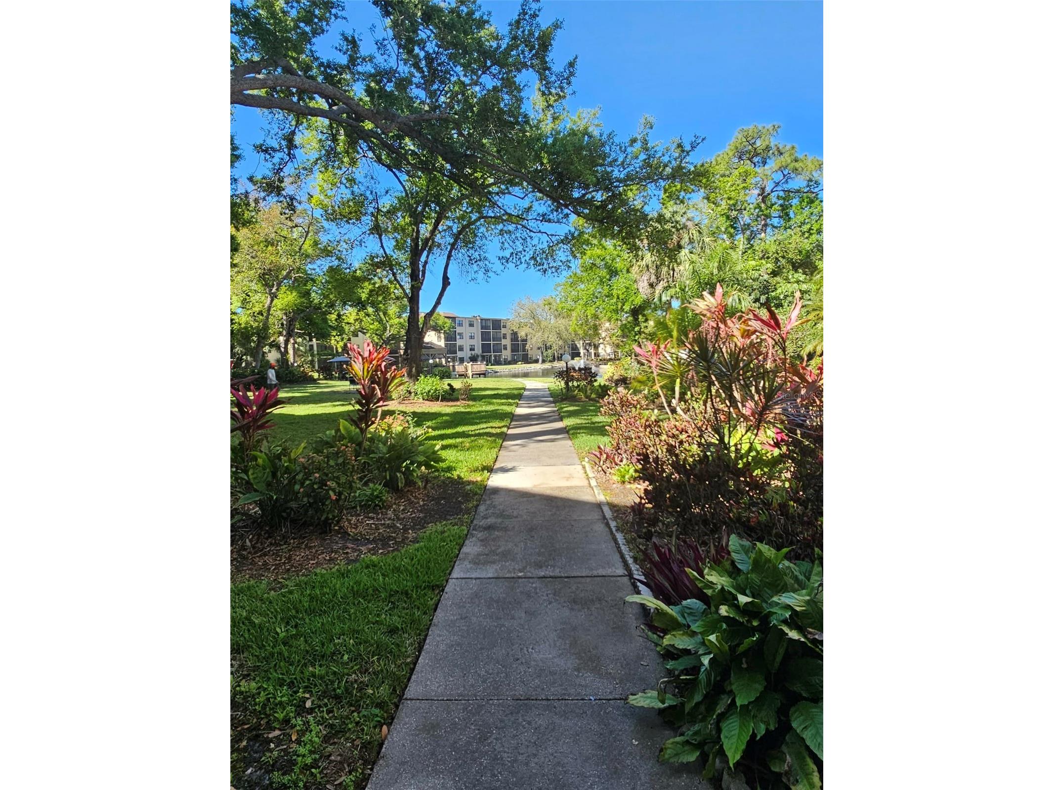 315 30th Avenue W #B307 Bradenton FL 34205 A4686134 image2