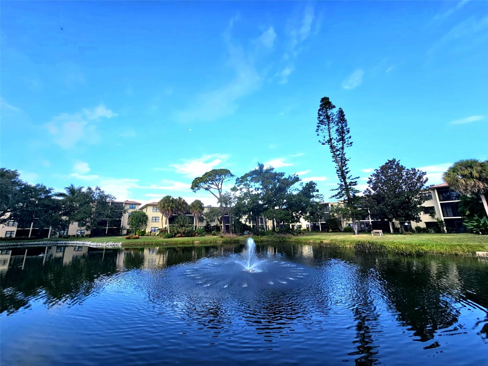 315 30th Avenue W #B307 Bradenton FL 34205 A4686134 image26