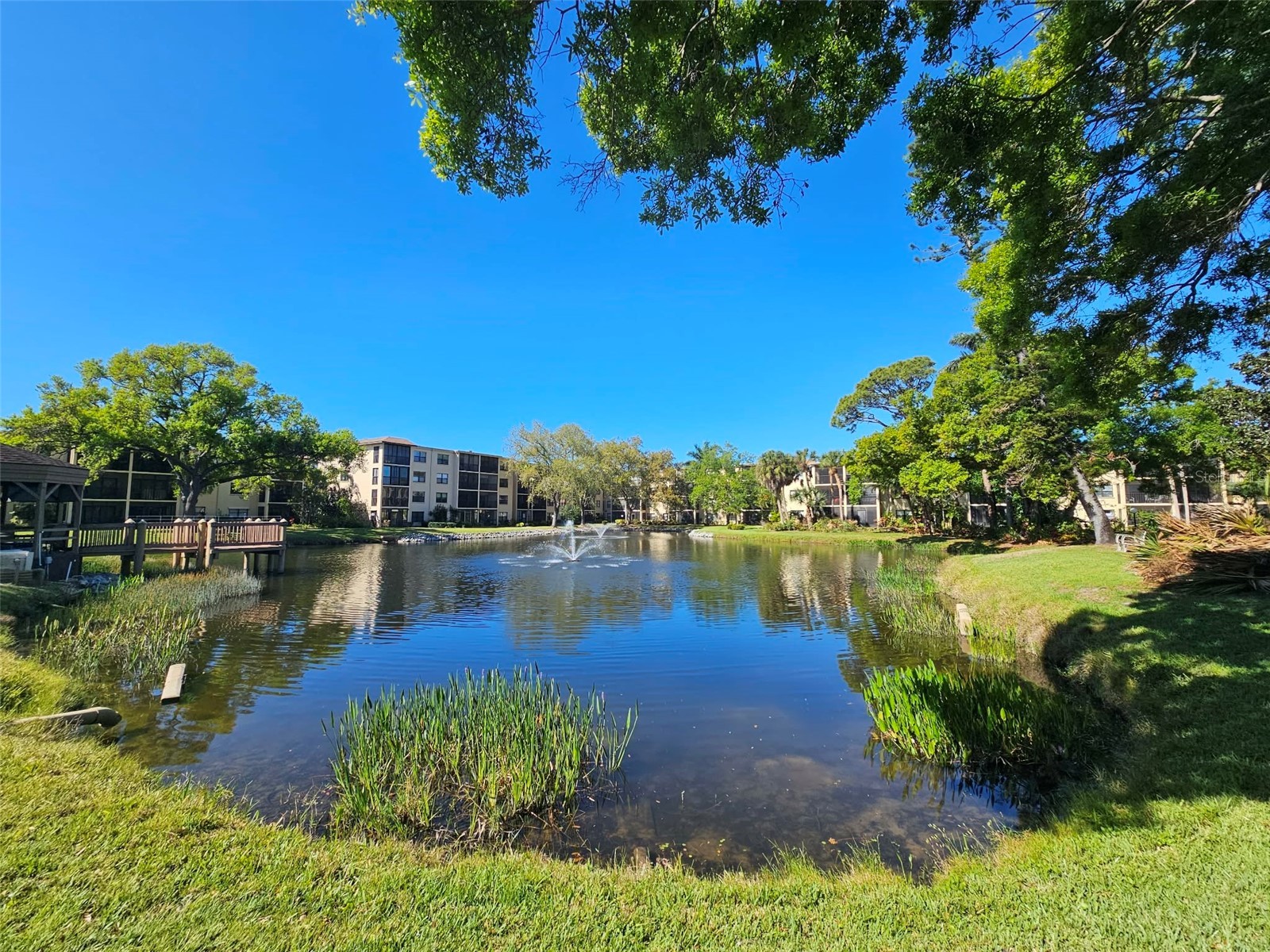 315 30th Avenue W #B307 Bradenton FL 34205 A4686134 image3