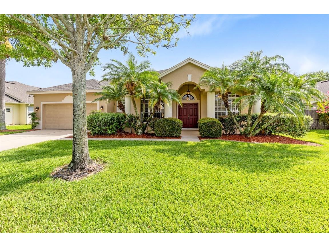 315 Belhaven Falls Drive Ocoee FL 34761 O6319903 image1