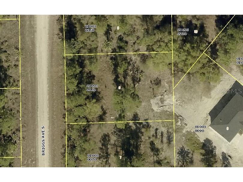 315 Briggs Avenue S Lehigh Acres FL 33974 N6144255 image1