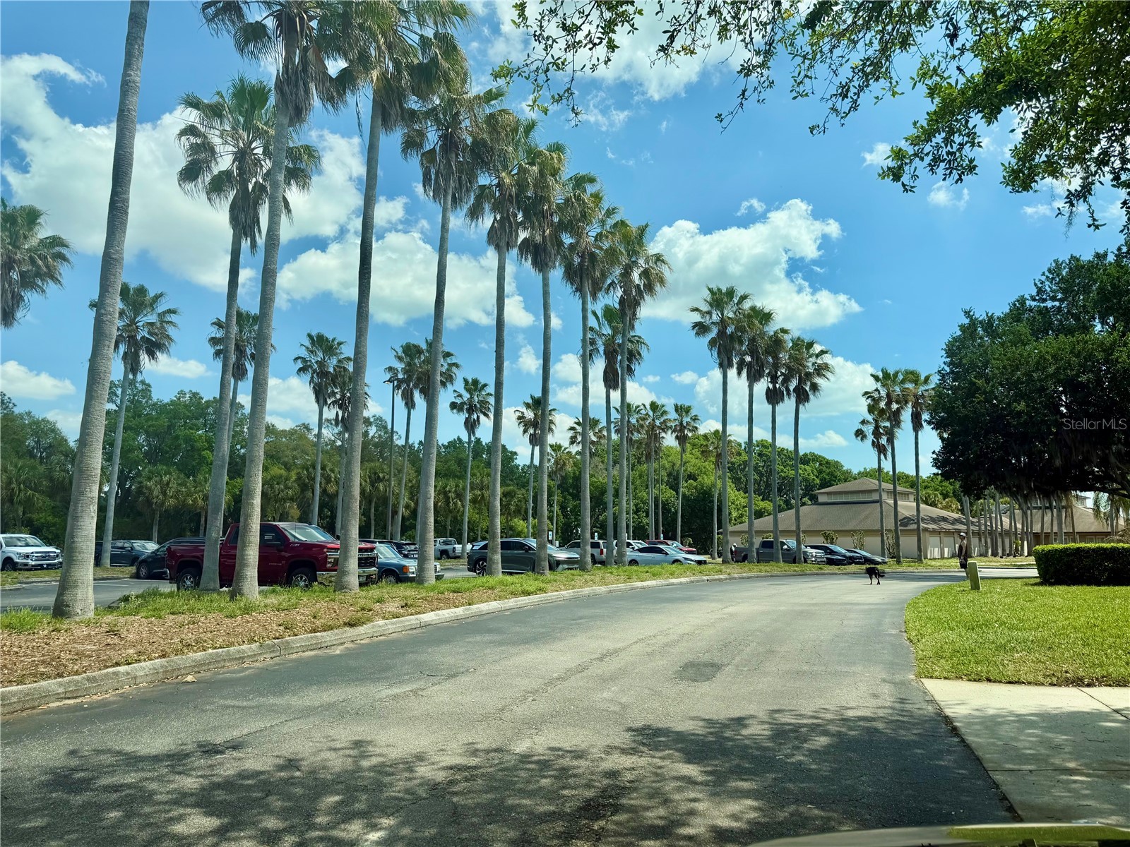 315 Eagle Ridge Drive Davenport FL 33837 O6384642 image27