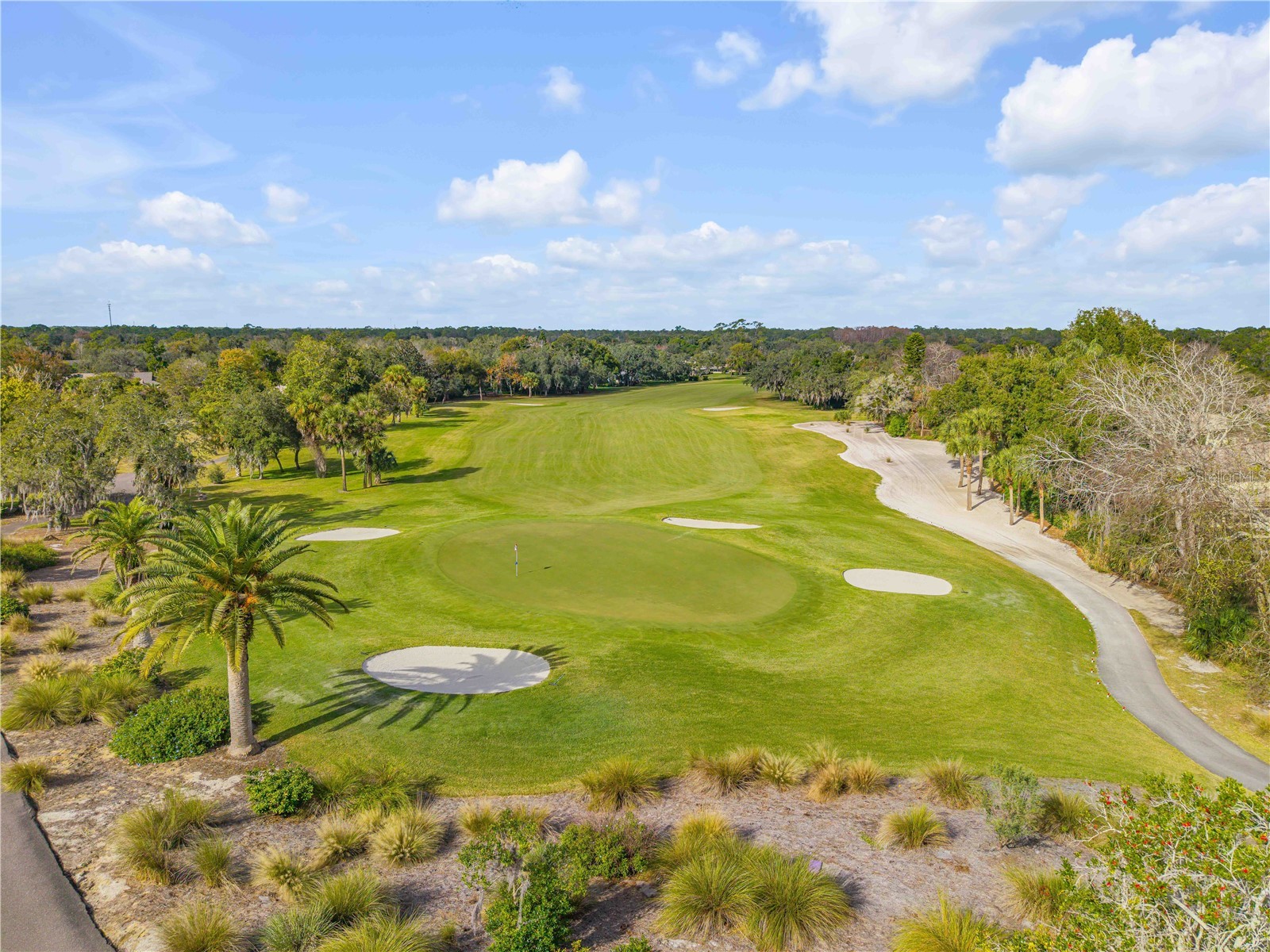 315 Eagles Eye Court New Smyrna Beach FL 32168 NS1088147 image80