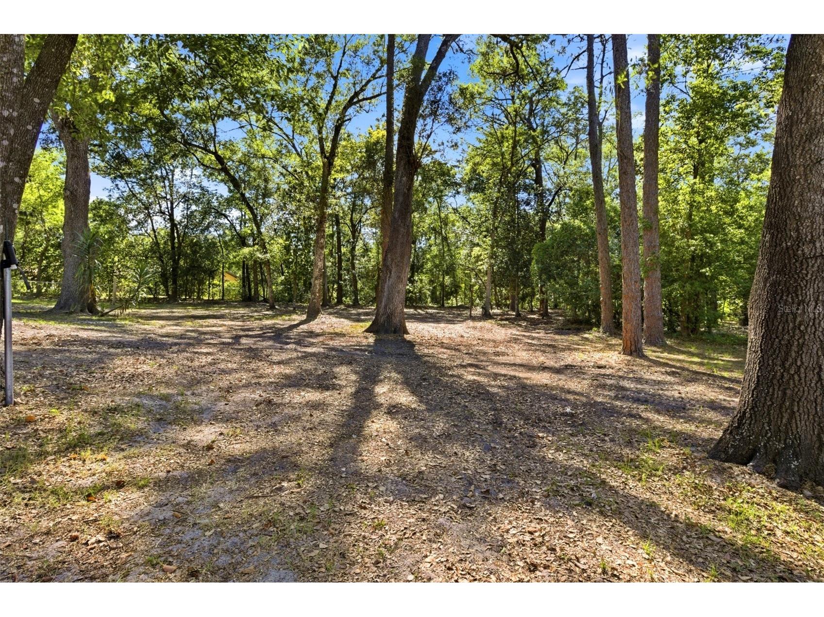 315 Garfield Avenue Brooksville FL 34604 TB8506541 image42