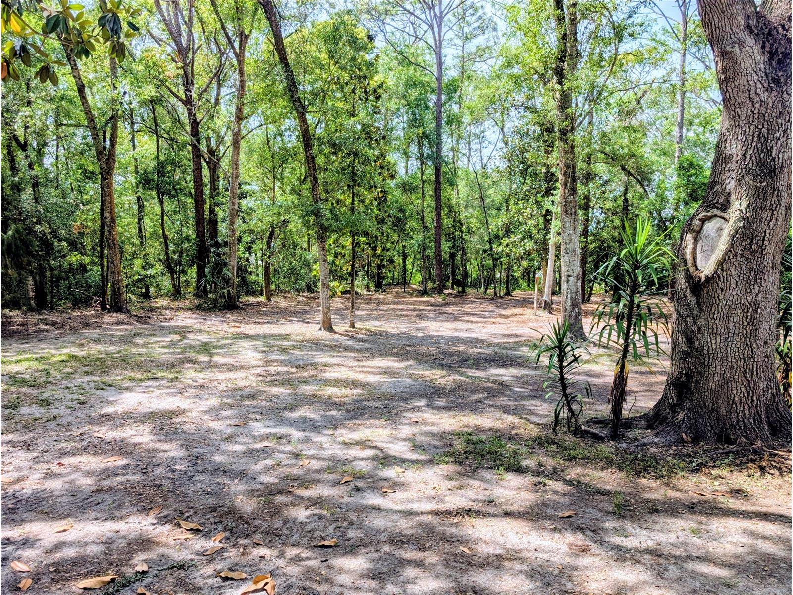 315 Garfield Avenue Brooksville FL 34604 TB8506541 image43