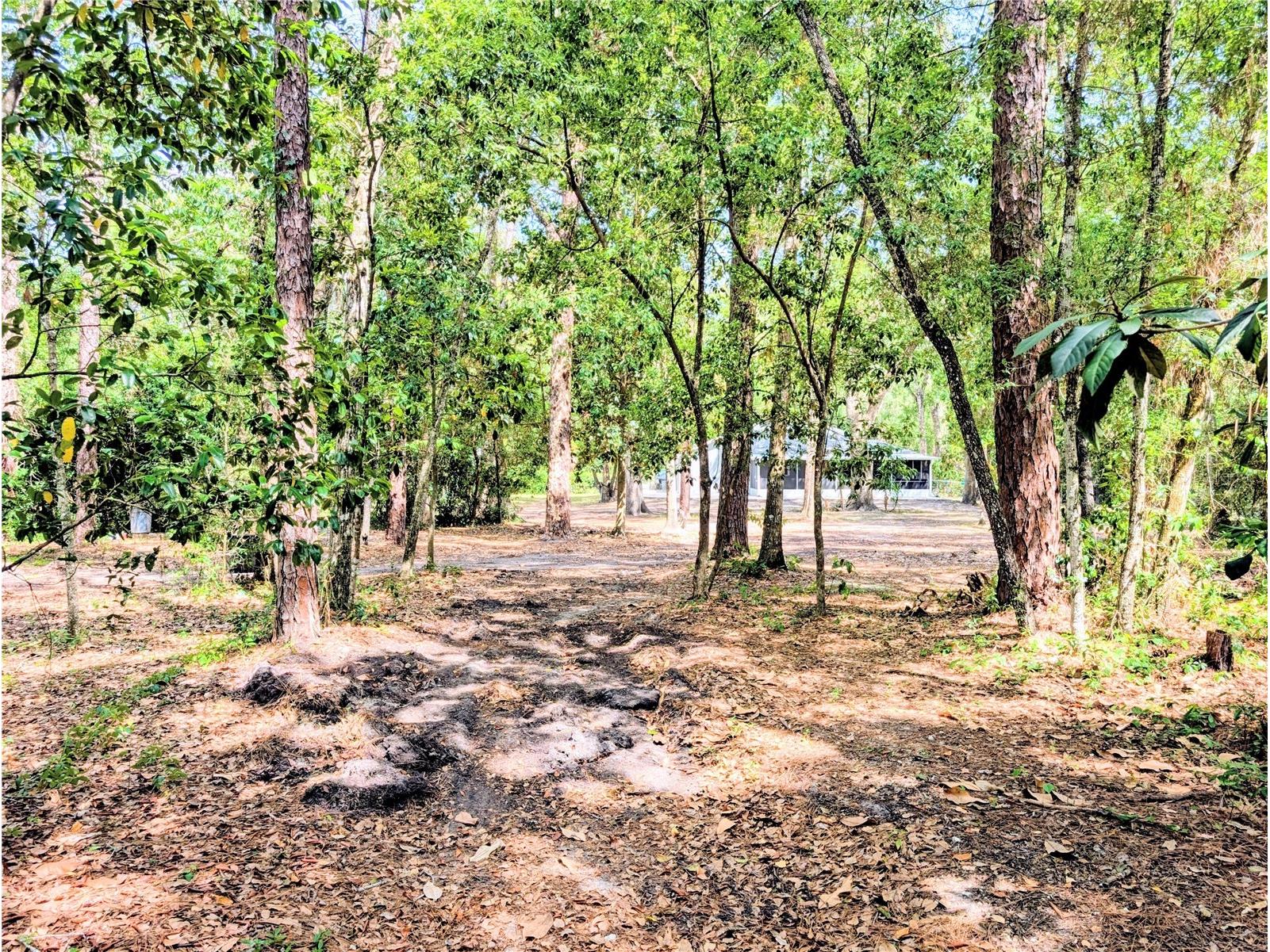 315 Garfield Avenue Brooksville FL 34604 TB8506541 image45