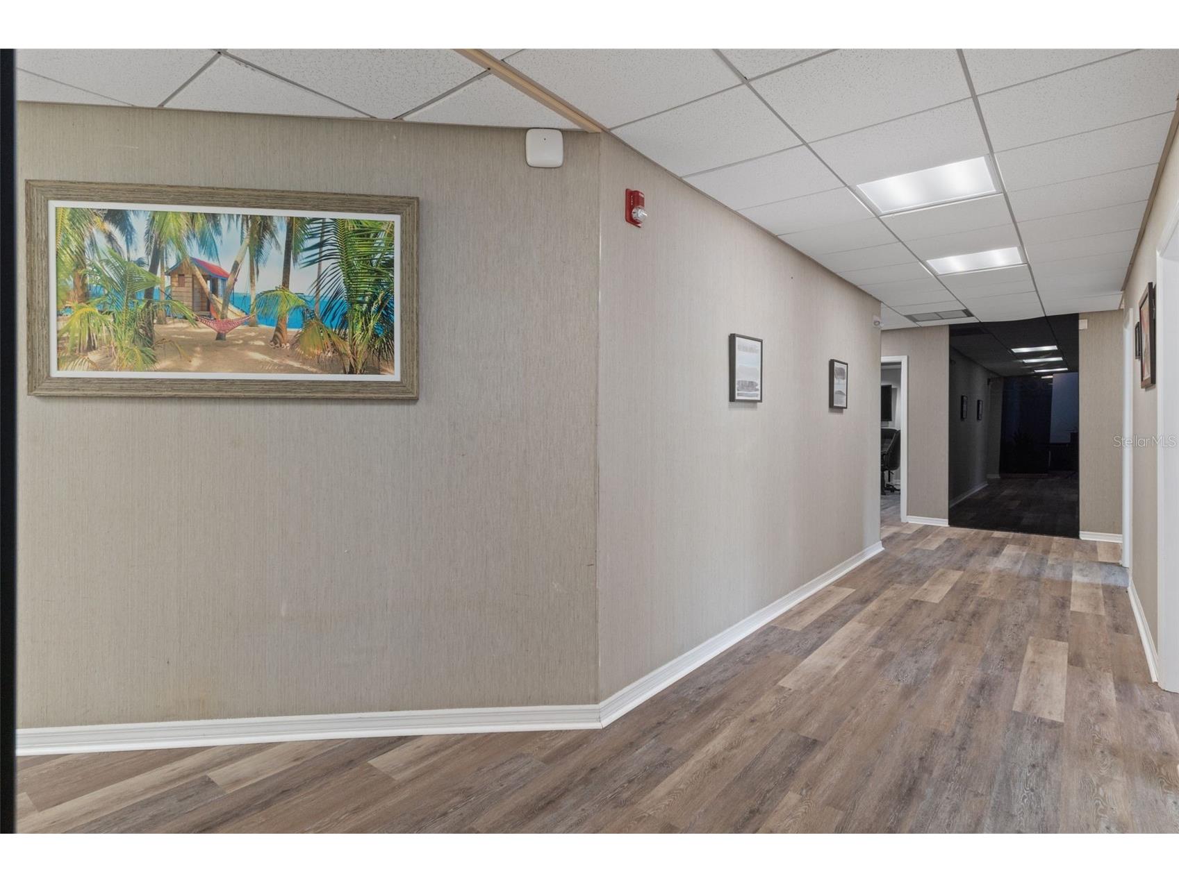 315 Howell Avenue Brooksville FL 34601 W7886578 image8