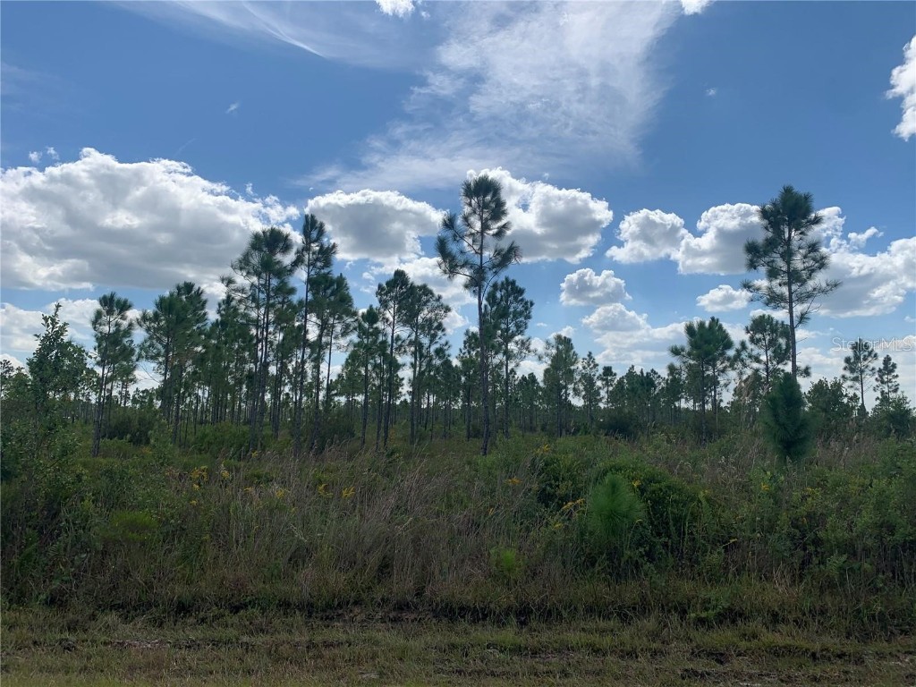 315 Japonica Avenue Indian Lake Estates FL 33855 T3522388 image1