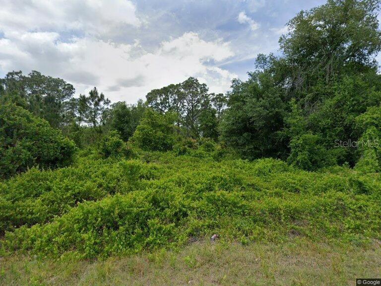 315 Johnson Avenue NE Lake Placid FL 33852 O6397332 image1