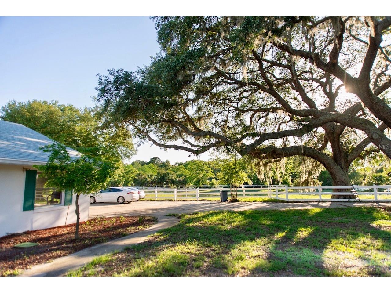 315 Lazy Acres Lane Longwood FL 32750 - LAKE ALMA O6397830 image5