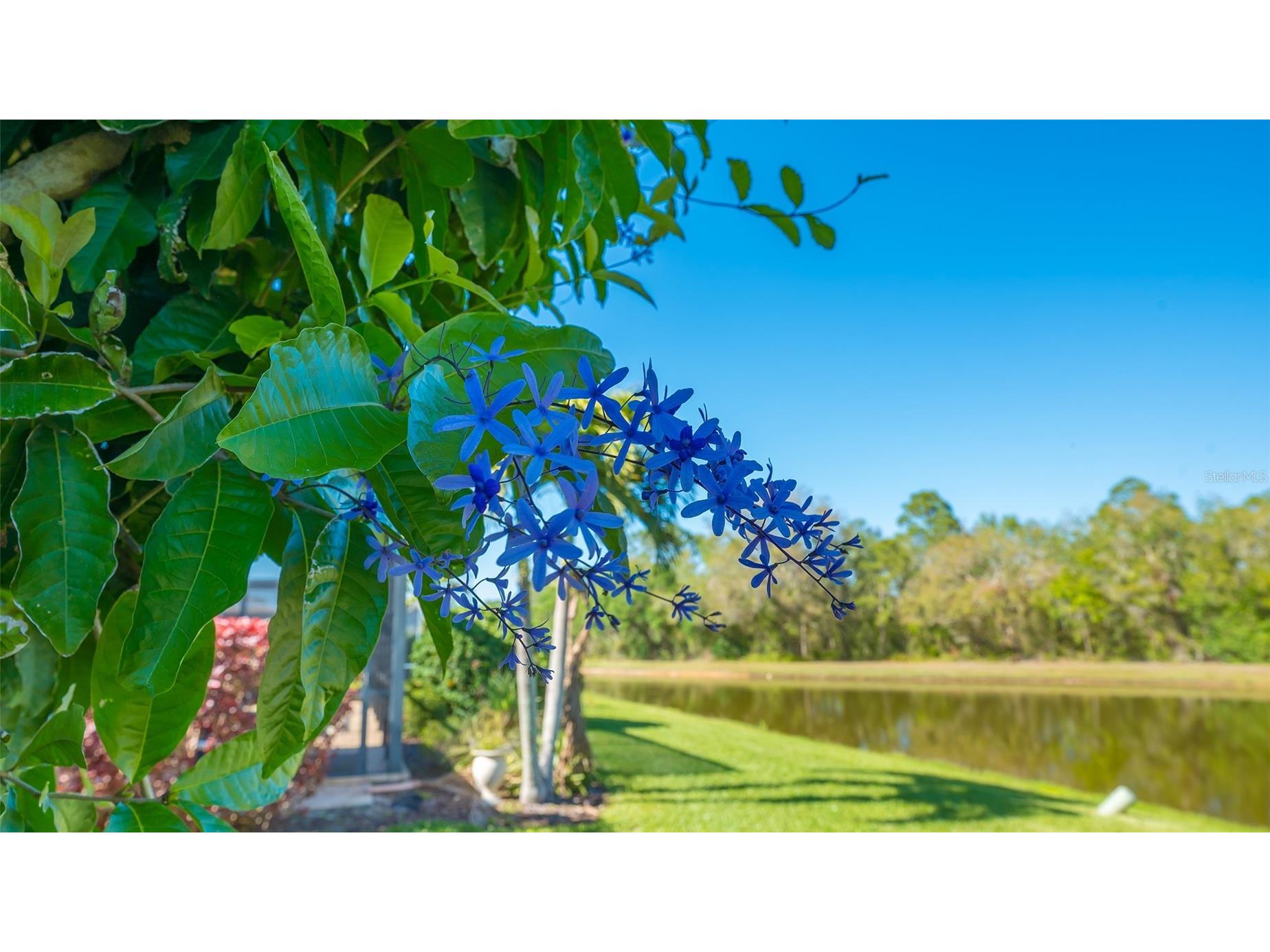 315 Londonderry Drive Sarasota FL 34240 A4694891 image2