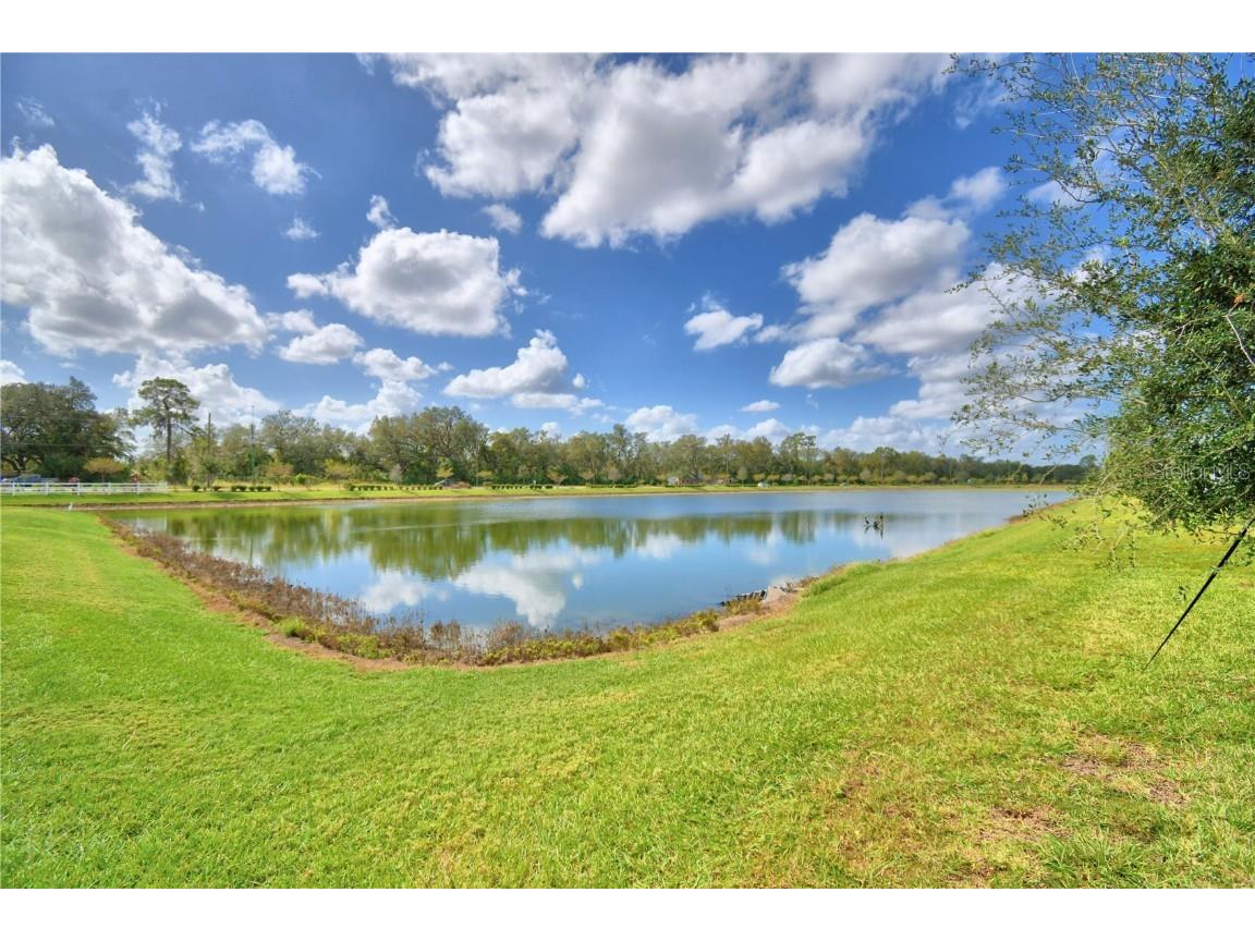 315 Macarthur Street Bartow FL 33830 P4936092 image41