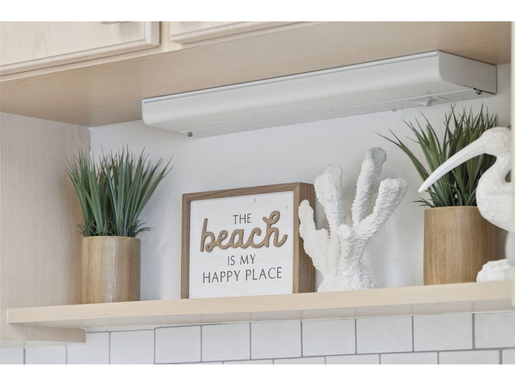 315 N Causeway #B302 New Smyrna Beach FL 32169 NS1088799 image25