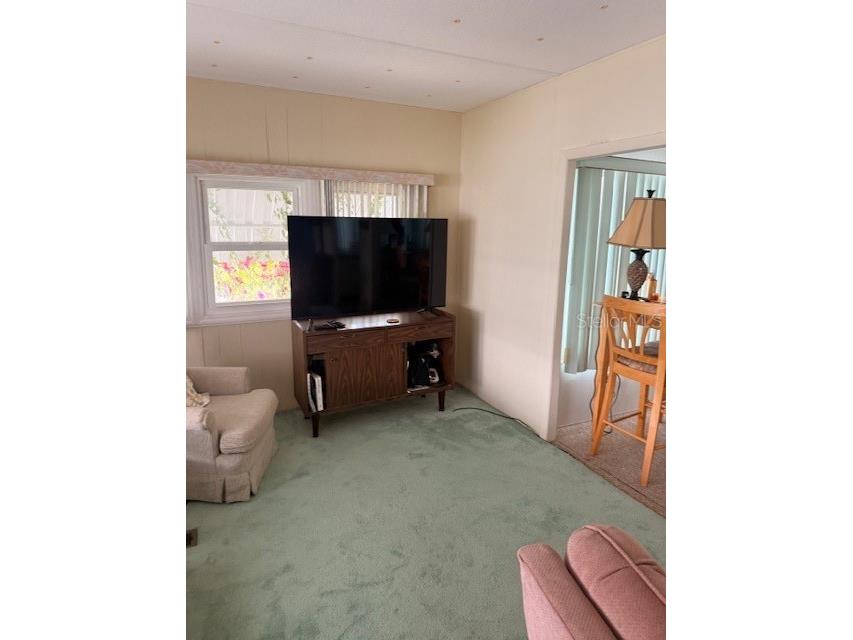 315 Peace Manor Palmetto FL 34221 A4691663 image17