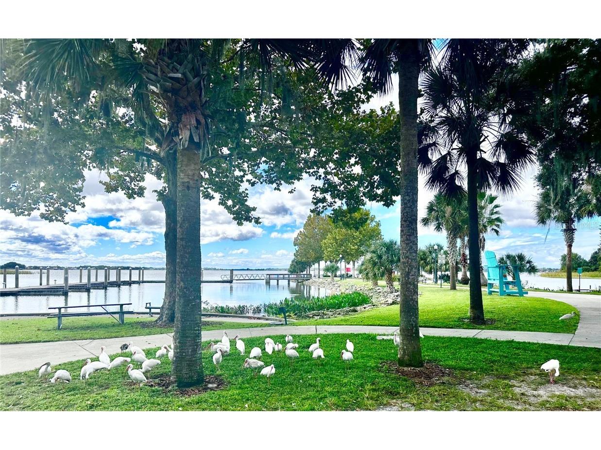 315 S Clayton Street Mount Dora FL 32757 O6352966 image20