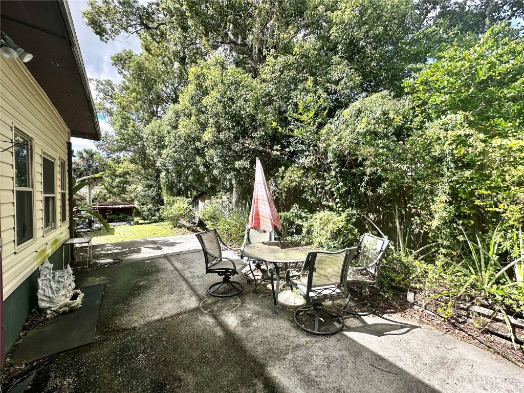 315 S Clayton Street Mount Dora FL 32757 O6352966 image28