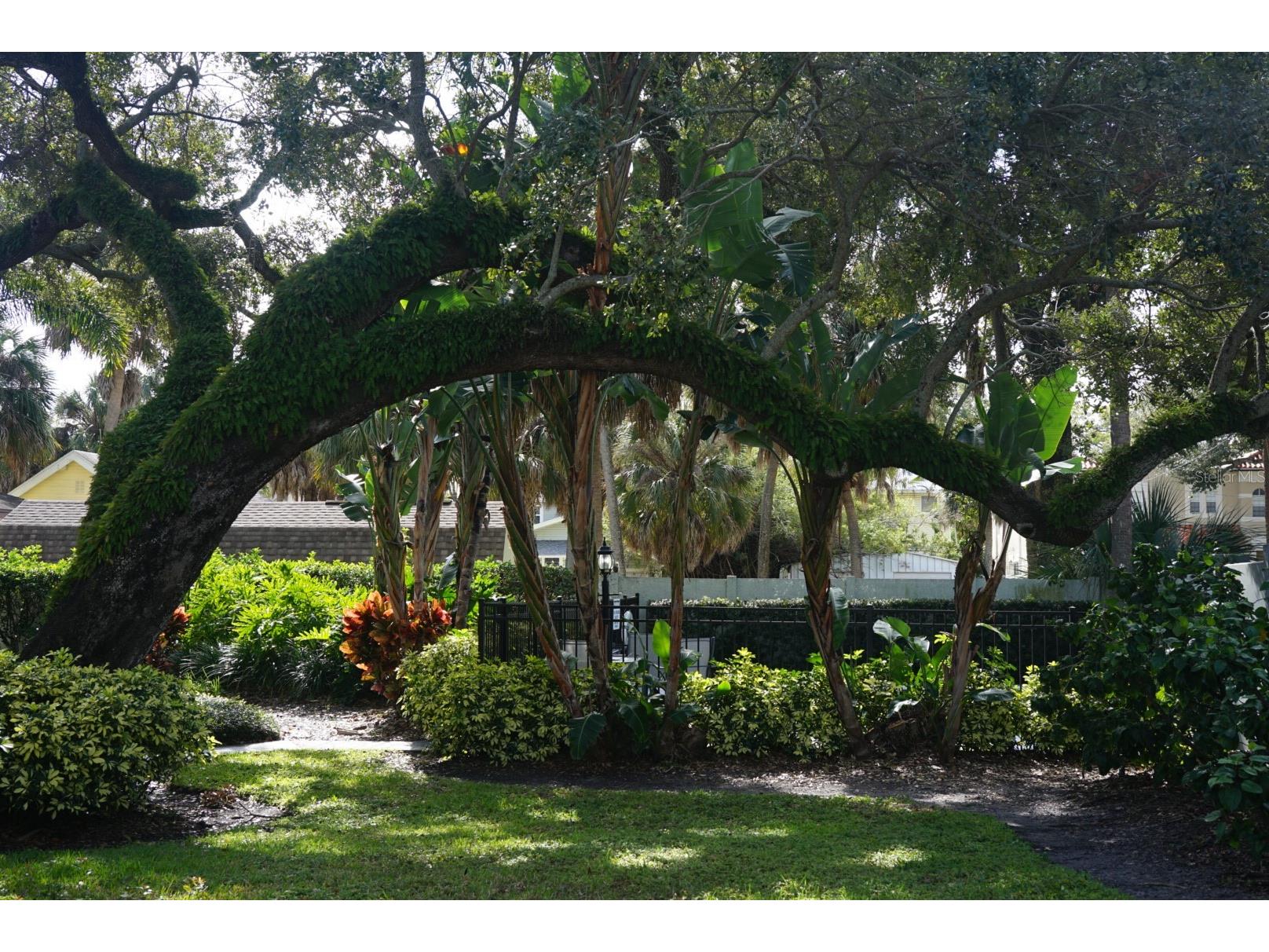 315 S Edison Avenue #12 Tampa FL 33606 TB8519970 image53