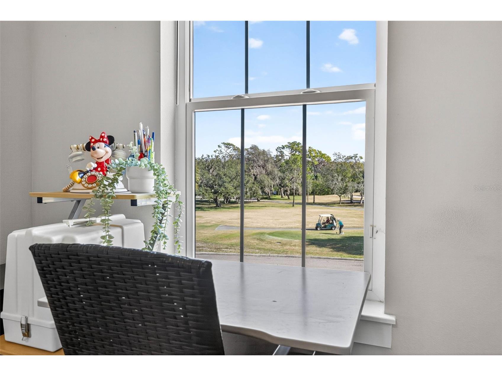 315 S Glen Arven Avenue Temple Terrace FL 33617 TB8462641 image41