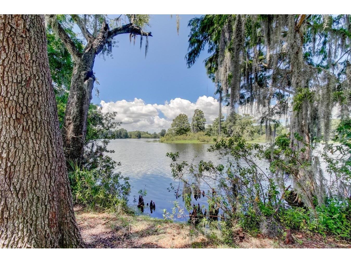 315 S Glen Arven Avenue Temple Terrace FL 33617 TB8462641 image89