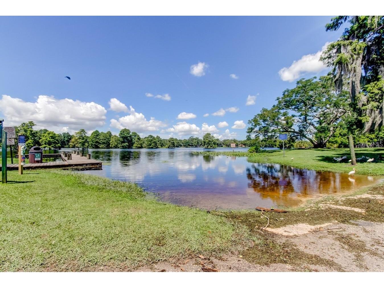 315 S Glen Arven Avenue Temple Terrace FL 33617 TB8462641 image90