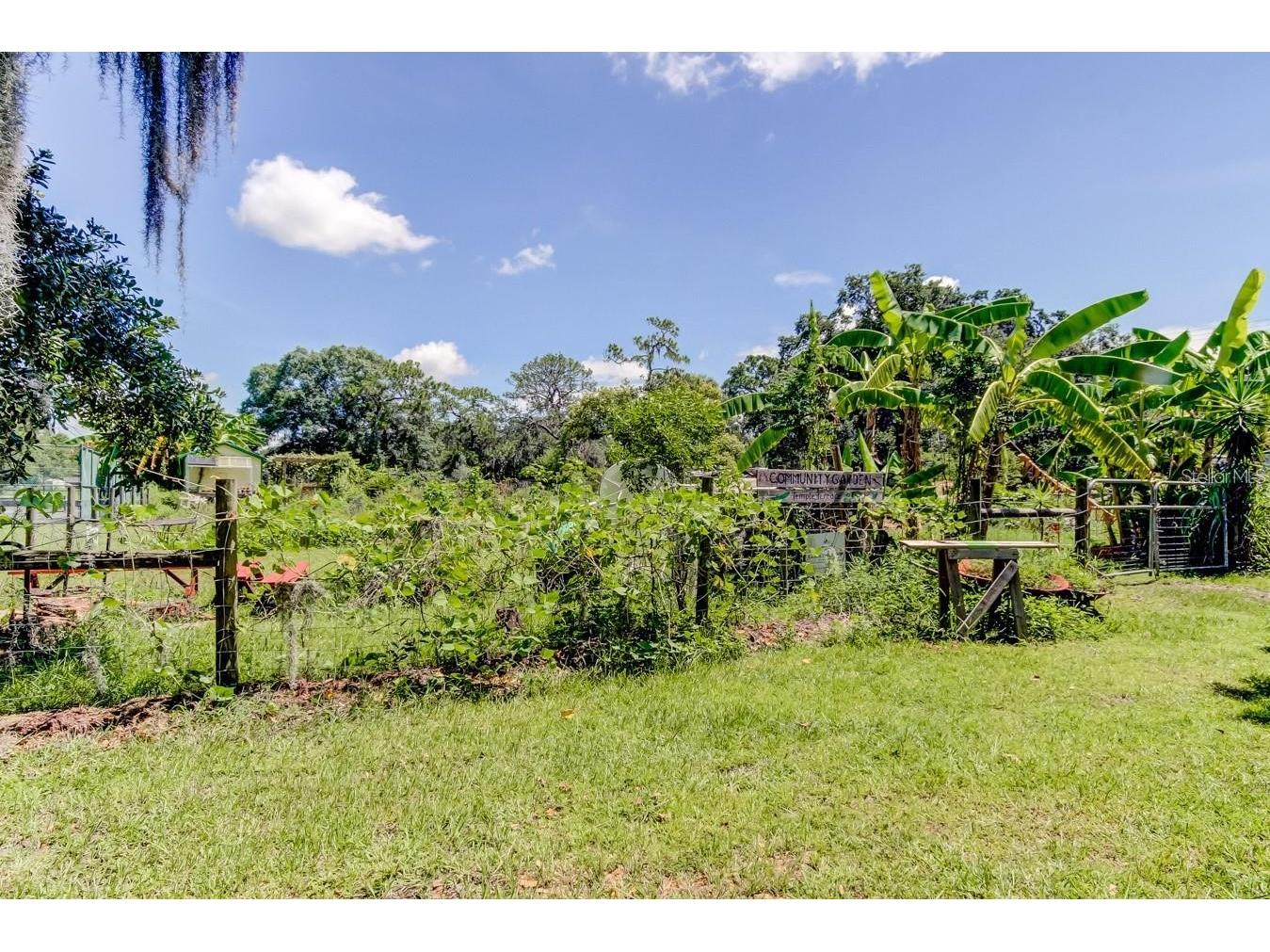 315 S Glen Arven Avenue Temple Terrace FL 33617 TB8462641 image91