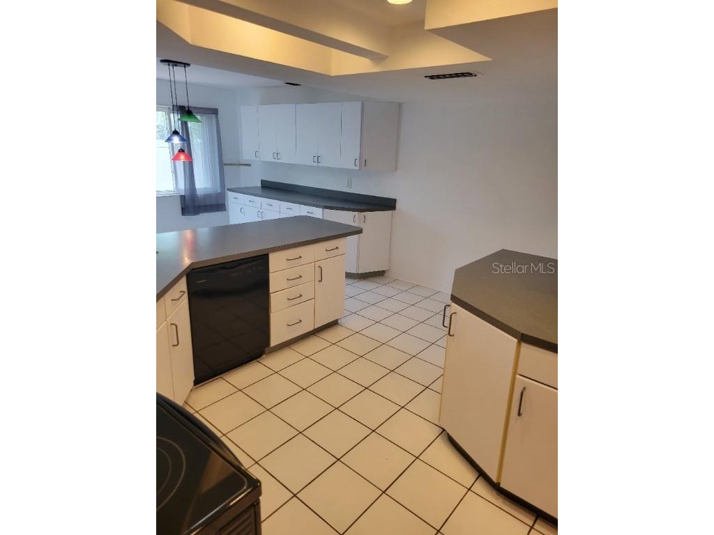 315 S Tessier Drive Saint Pete Beach FL 33706 TB8410465 image14