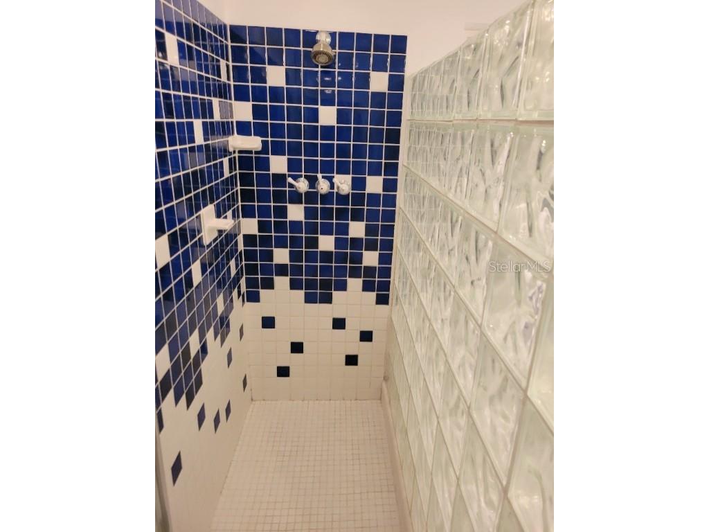 315 S Tessier Drive Saint Pete Beach FL 33706 TB8410465 image18