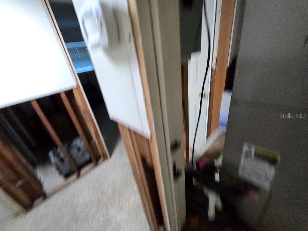 315 Shore Drive E Oldsmar FL 34677 TB8379935 image38