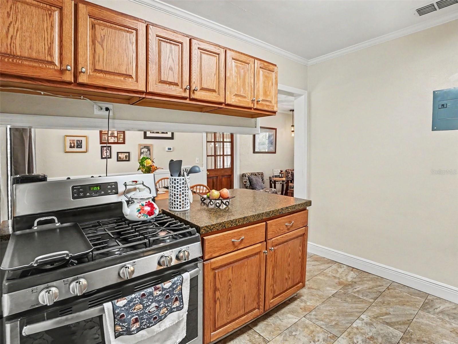 315 W 11th Avenue Mount Dora FL 32757 V4948938 image10