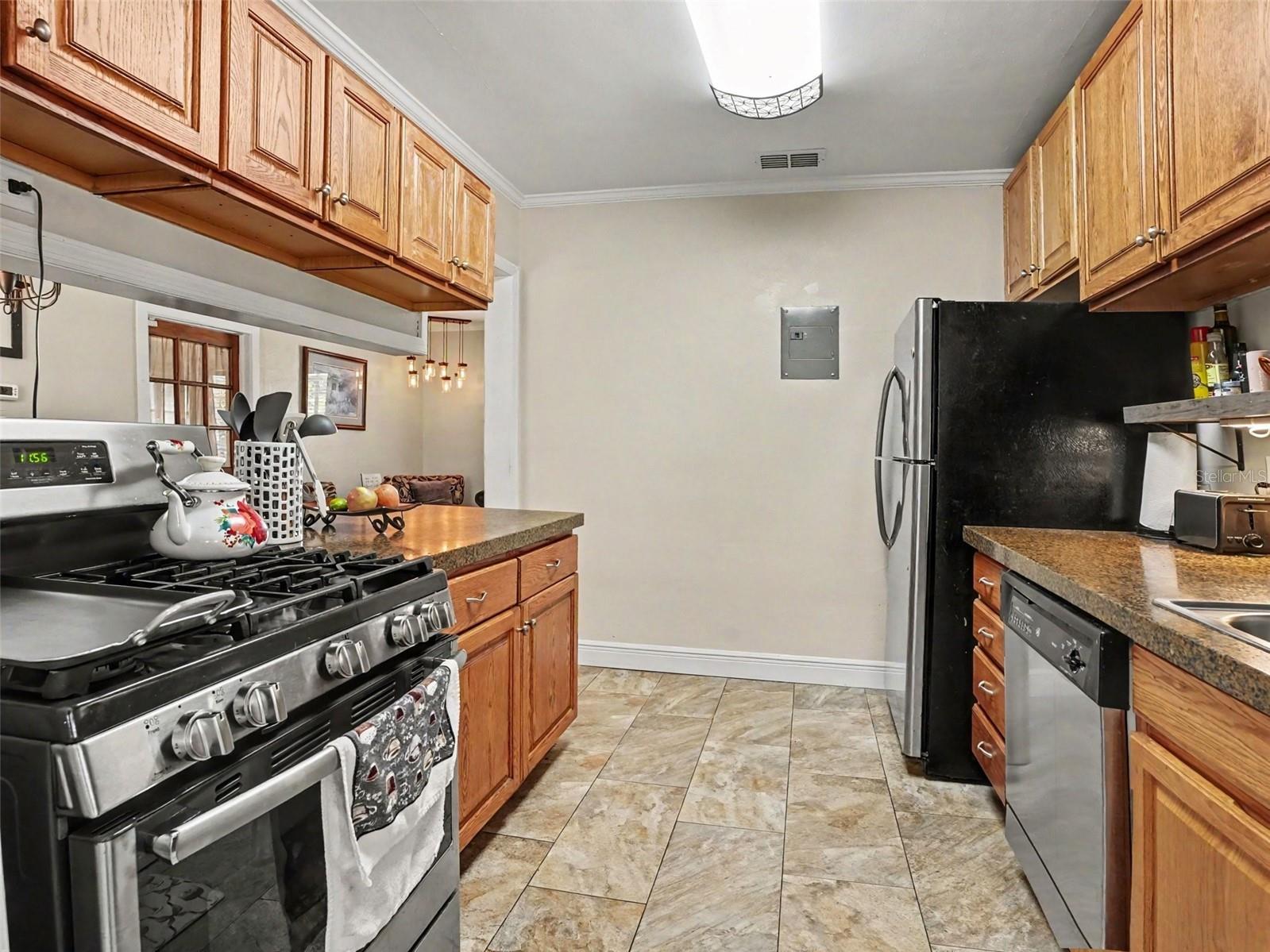 315 W 11th Avenue Mount Dora FL 32757 V4948938 image11