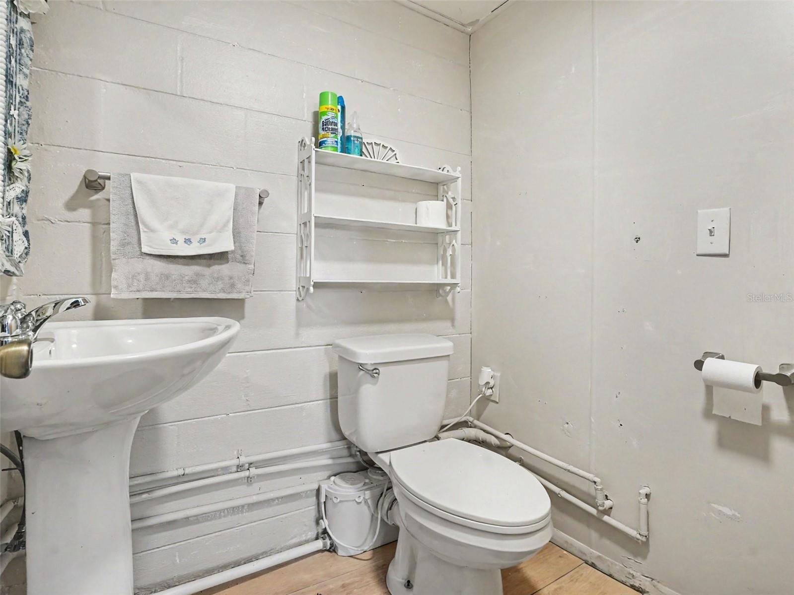 315 W 11th Avenue Mount Dora FL 32757 V4948938 image23