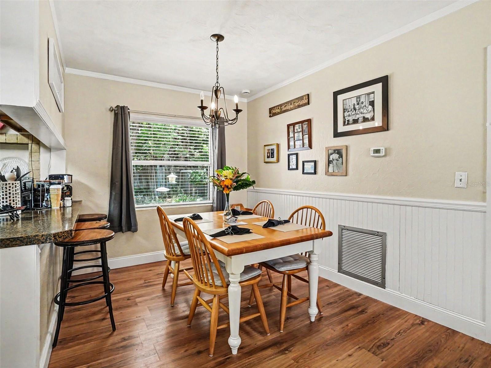 315 W 11th Avenue Mount Dora FL 32757 V4948938 image7
