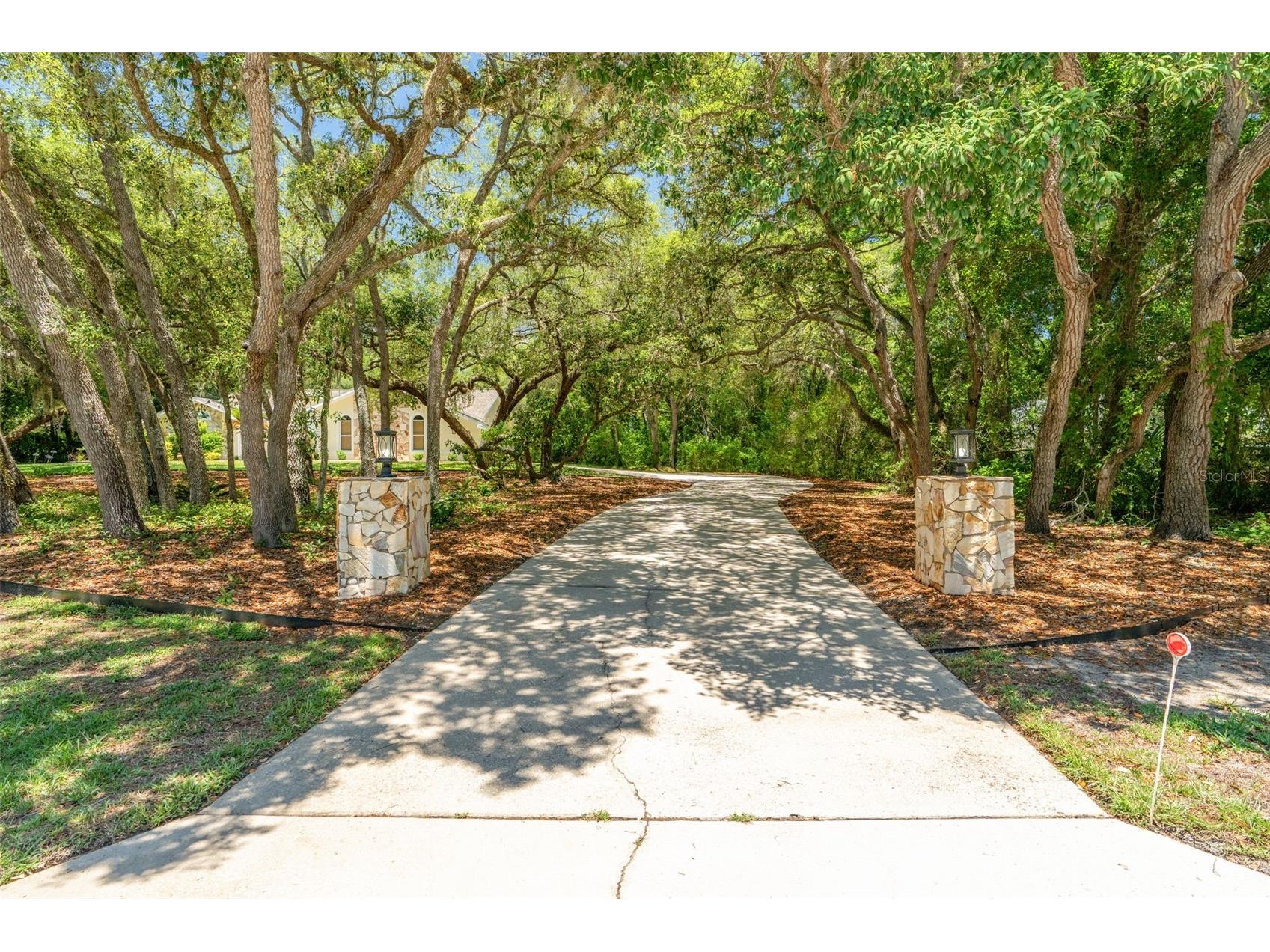 315 W Britain Street Hernando FL 34442 OM724831 image12