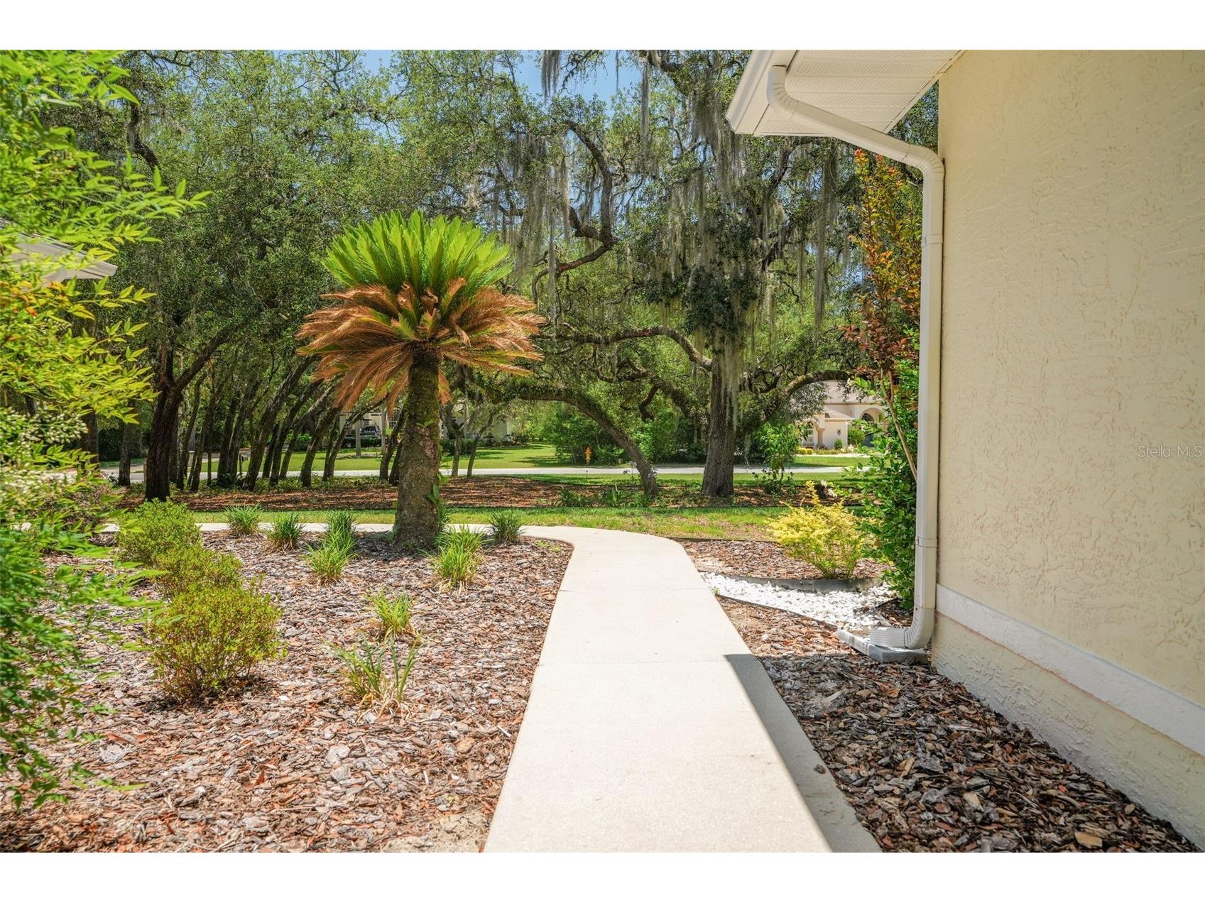 315 W Britain Street Hernando FL 34442 OM724831 image14