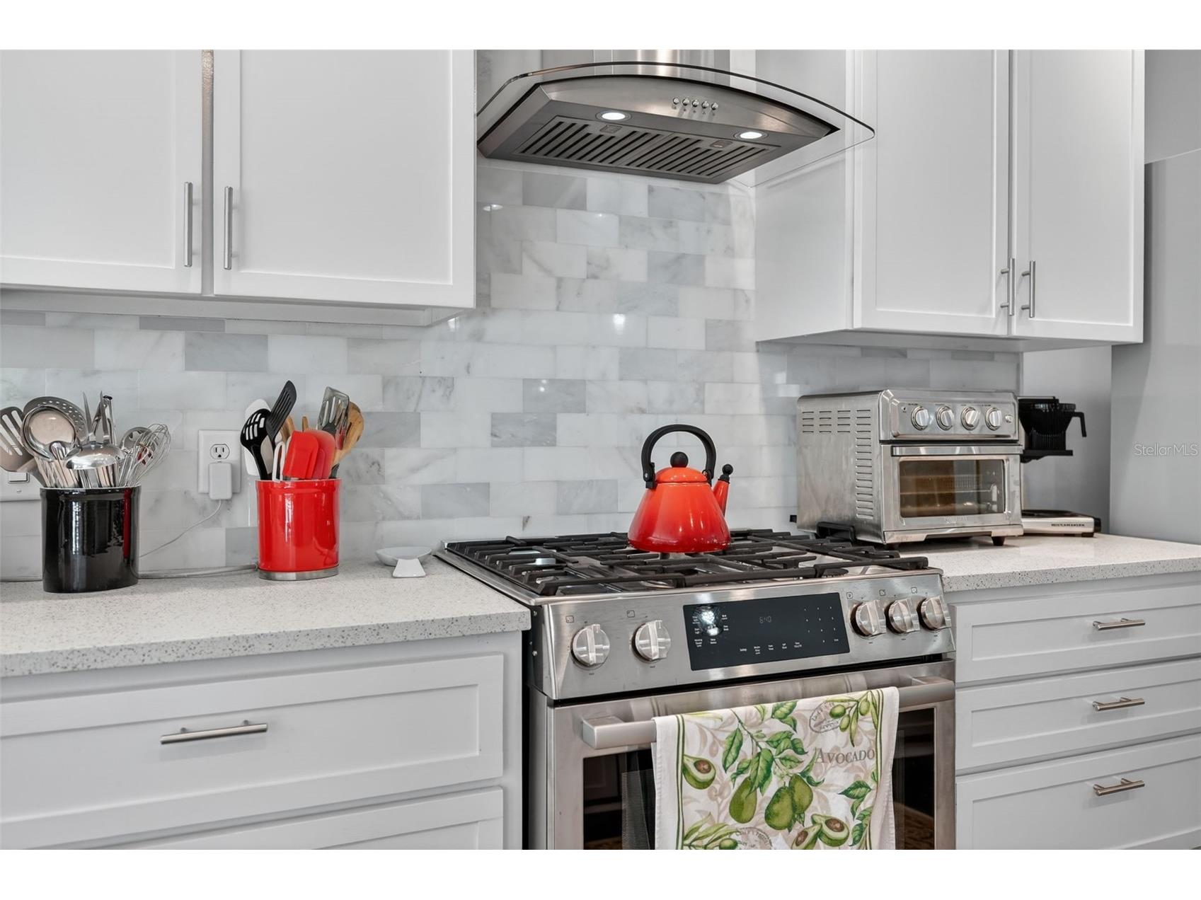 315 W Britain Street Hernando FL 34442 OM724831 image4