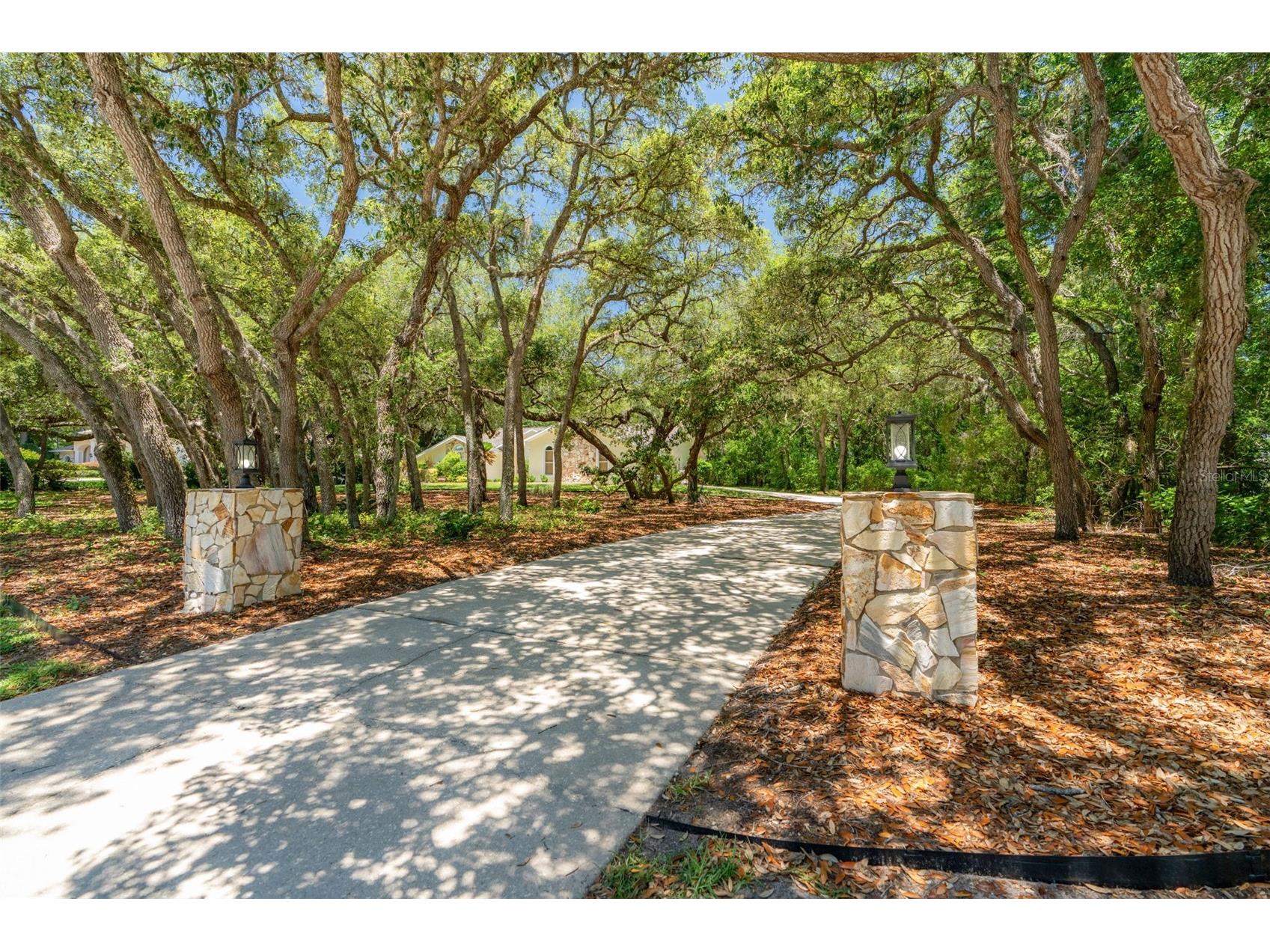 315 W Britain Street Hernando FL 34442 OM724831 image64