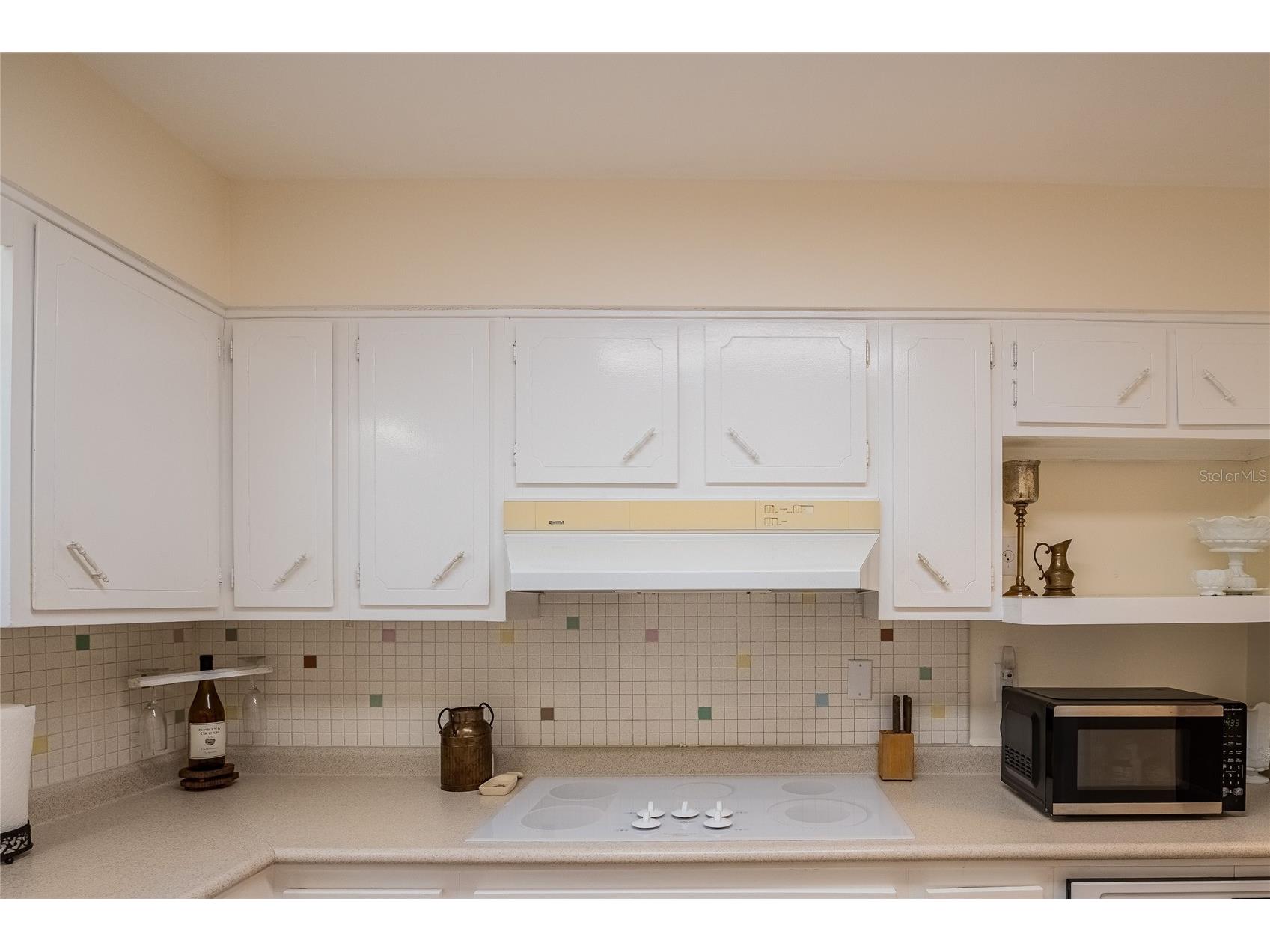 315 W Oak Drive Lakeland FL 33803 L4960878 image18
