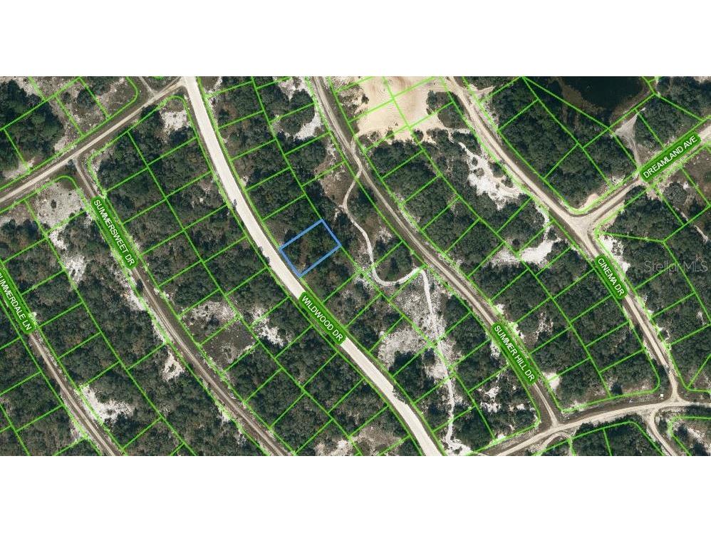 315 Wildwood Drive Lake Placid FL 33852 OM621780 image1