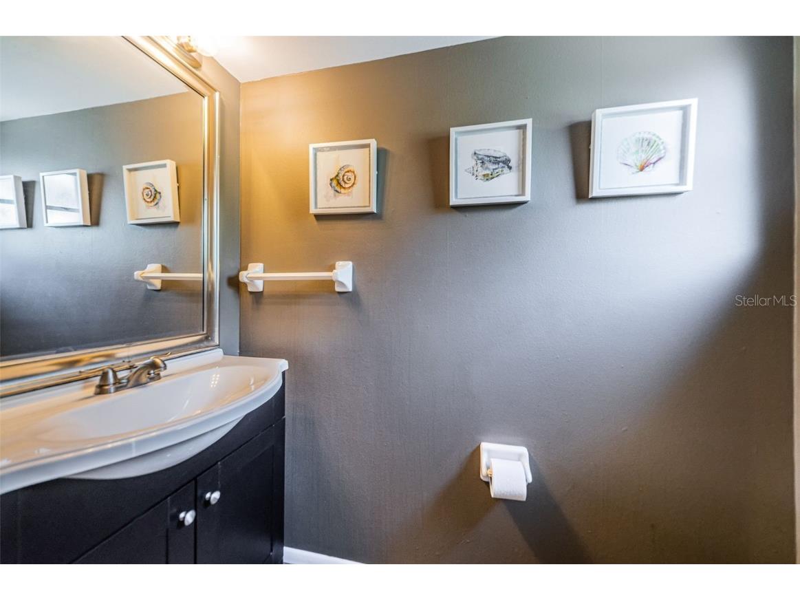 315 Woods Landing Trail Oldsmar FL 34677 TB8433357 image17