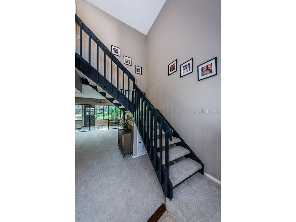 315 Woods Landing Trail Oldsmar FL 34677 TB8433357 image18